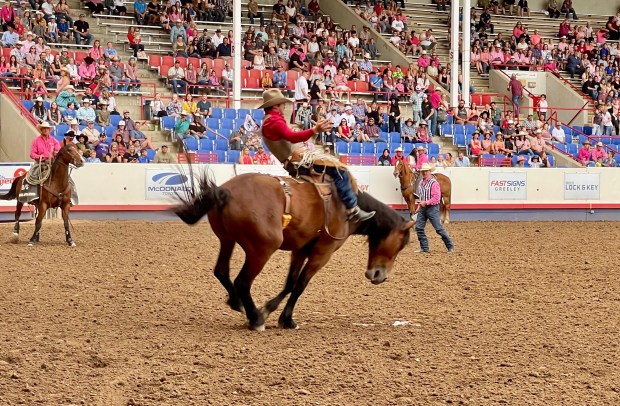 PRCA ProRodeo Series 5